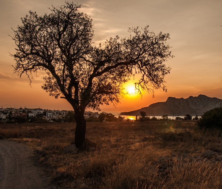 ΑΙΓΙΝΑ ΑΙΓΙΝΑ