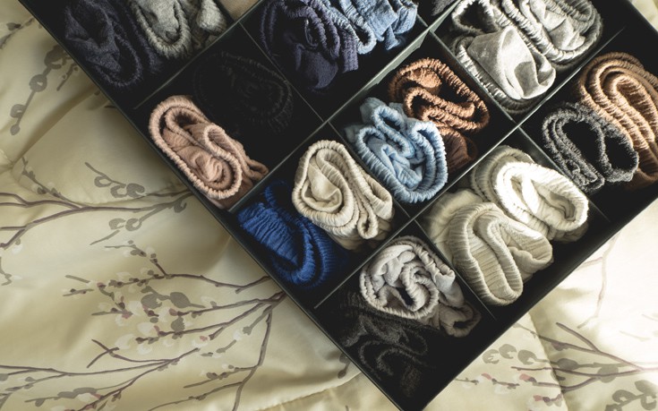 shutterstock_519384433