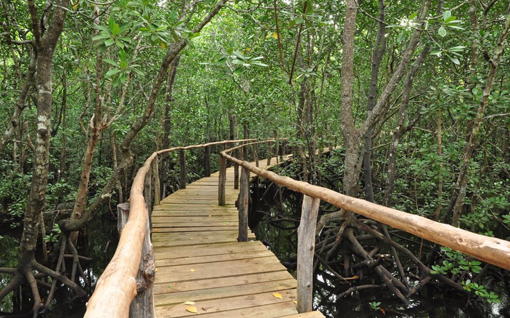 ΤΑΝΖΑΝΙΑ ΤΑΝΖΑΝΙΑ