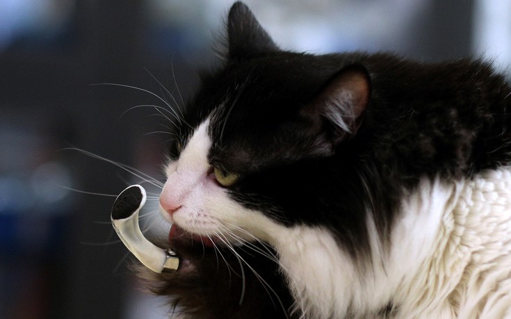 skphotreu3 skphotreu3