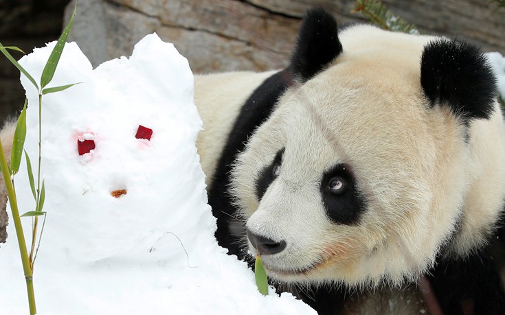 skphotreu6 skphotreu6