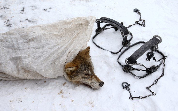 thnrreekwe5 thnrreekwe5