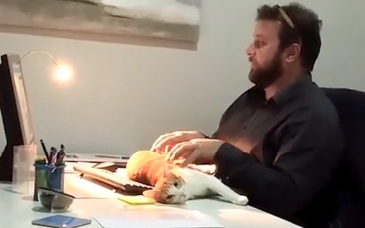 Τι να κάνεις όταν η γάτα σου δε σε αφήνει να δουλέψεις