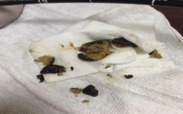 μανιτάρια2 μανιτάρια2