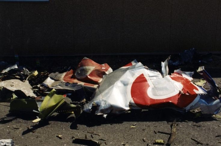 3EC8CFCB00000578-0-image-a-22_1490898847176