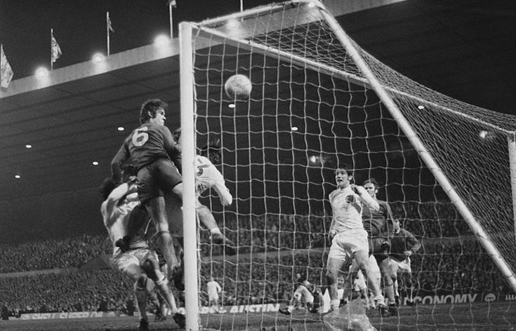 article-2249634-168e2a73000005dc-860_634x458_0 article-2249634-168e2a73000005dc-860_634x458_0