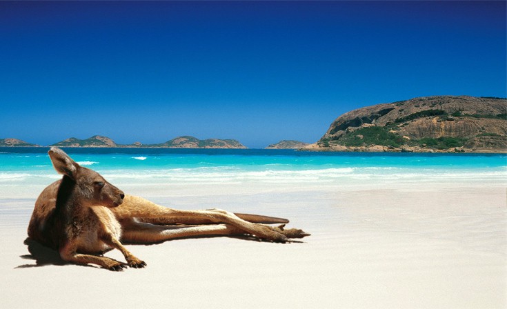 auusutstserlellliaas1