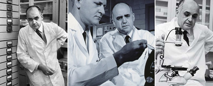 hiillemnnabnnnfge4 hiillemnnabnnnfge4