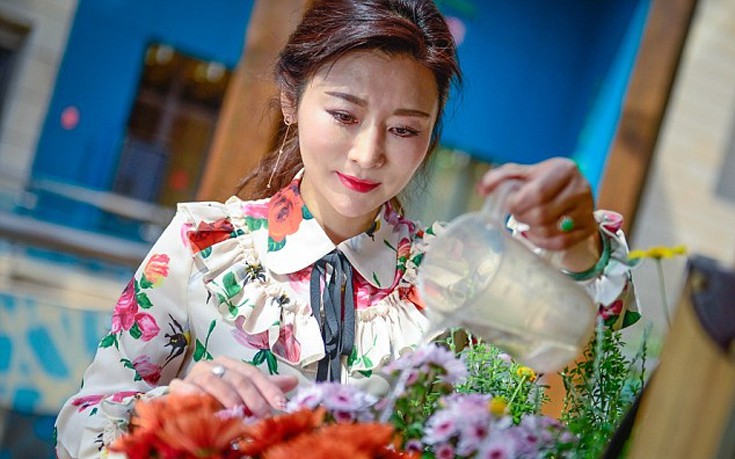 jasdjadyt4 jasdjadyt4