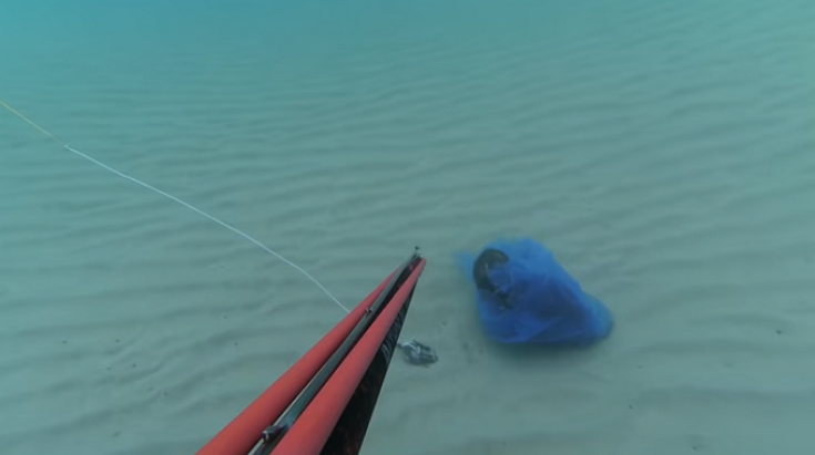 Δύτης βρήκε κουτάβι σε σακούλα με πέτρες μέσα στη θάλασσα