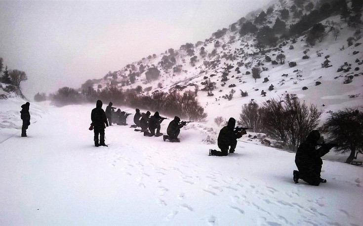 saksuadyb2 saksuadyb2