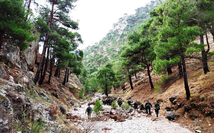 saksuadyb6 saksuadyb6