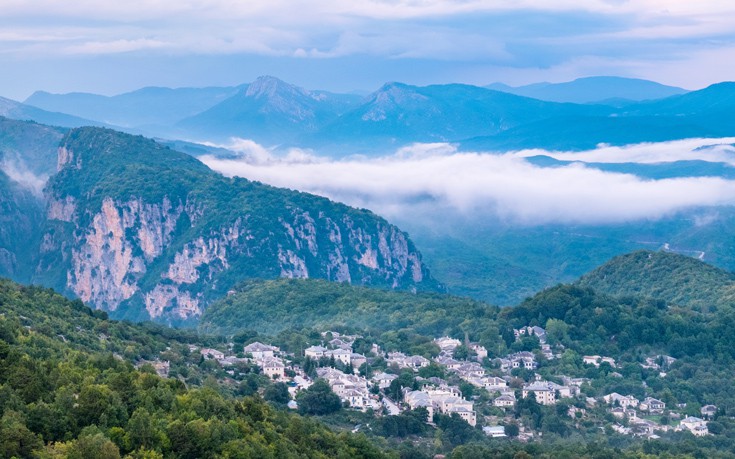 ΜΟΝΟΔΕΝΔΡΙ ΖΑΓΟΡΙ