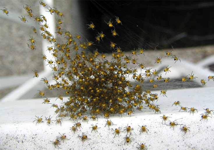 ssppididessferteryty1 ssppididessferteryty1