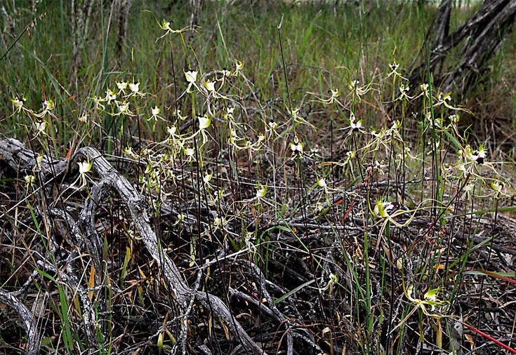 ssppididessferteryty2 ssppididessferteryty2