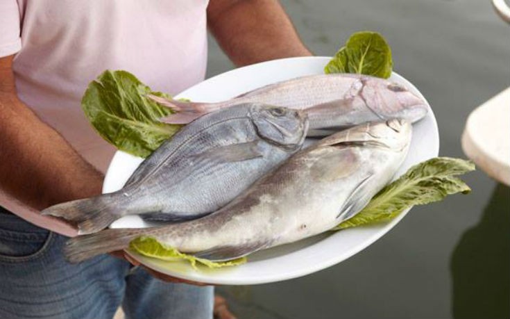 thea thalassa_5_edited thea thalassa_5_edited