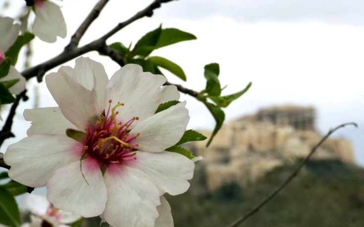 Πότε πέφτει το πρώτο τριήμερο του 2019