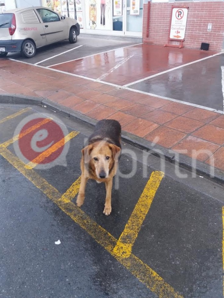 unnamed_292_0 unnamed_292_0