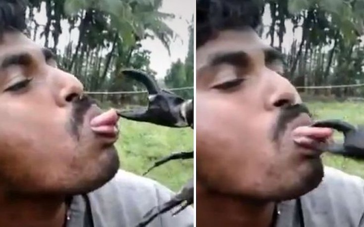 Ήθελε να κάνει τον έξυπνο πλησιάζοντας έναν κάβουρα στο στόμα του