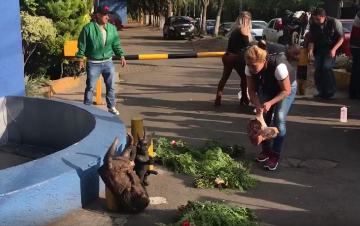 Έκαναν… μεταγραφή τίτλου μια μάγισσα!