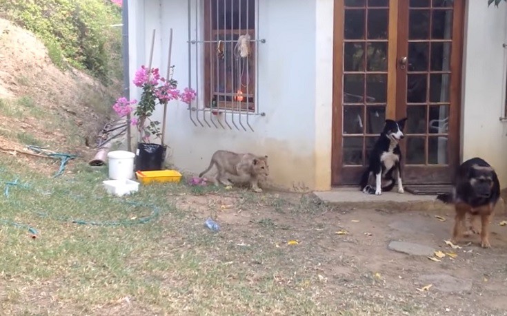 Αναπάντεχες καταστάσεις και μικρές εκπλήξεις