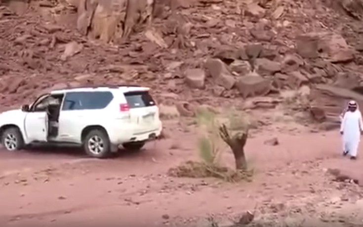 Πώς να&#8230; μην ξεριζώσεις ένα κούτσουρο από το έδαφος