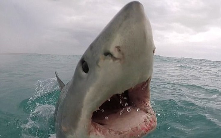 karoaxkadi2 karoaxkadi2