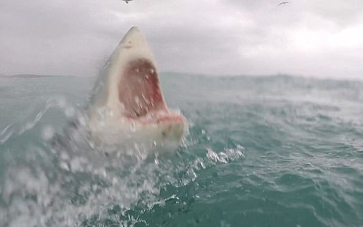 karoaxkadi3 karoaxkadi3