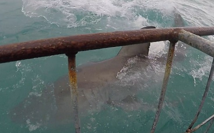 karoaxkadi4 karoaxkadi4