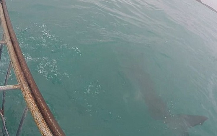 karoaxkadi5 karoaxkadi5