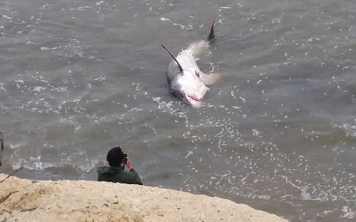 karxarias3 karxarias3