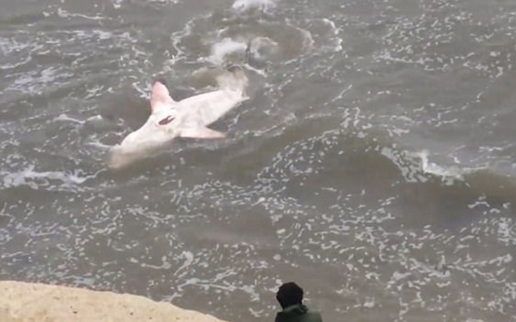 karxarias4 karxarias4