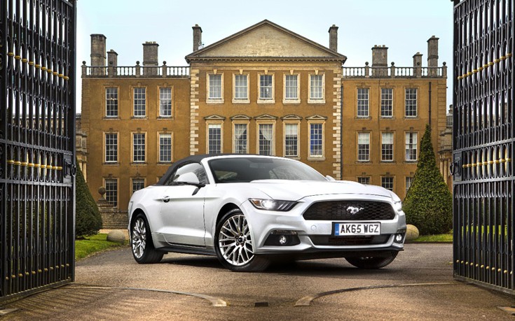 mustanasgf3 mustanasgf3