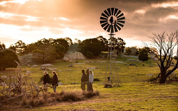 novleftov1 novleftov1