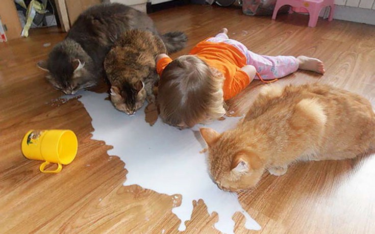 Παιδιά και κατοικίδια, ένας απρόβλεπτος συνδυασμός