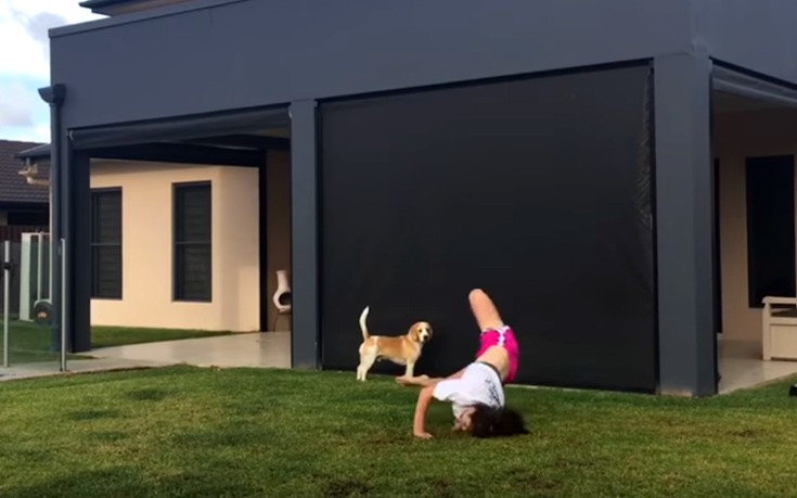 Έφαγαν τα μούτρα τους