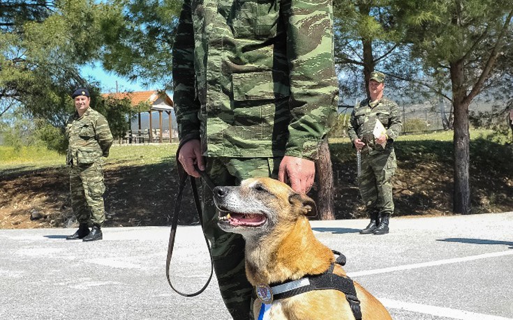 vravreuasjk2 vravreuasjk2