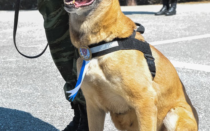 vravreuasjk4 vravreuasjk4