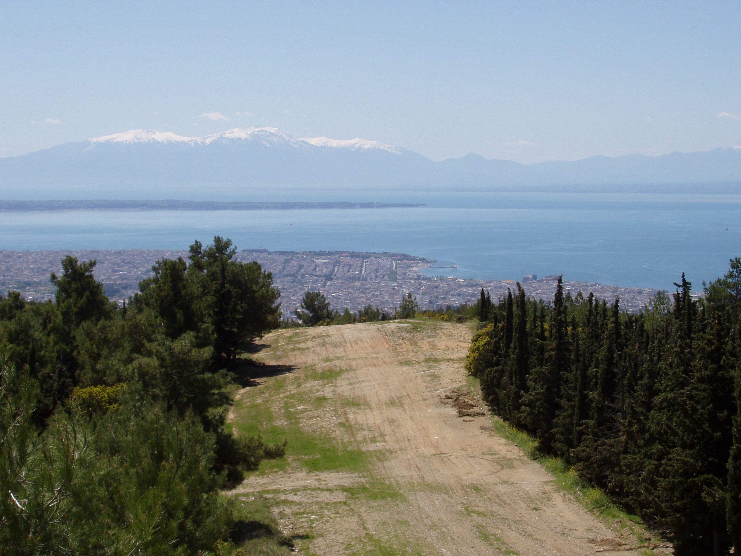 Κορονοϊός στη Θεσσαλονίκη: Προσοχή στις αγέλες σκύλων στο Σέιχ Σου