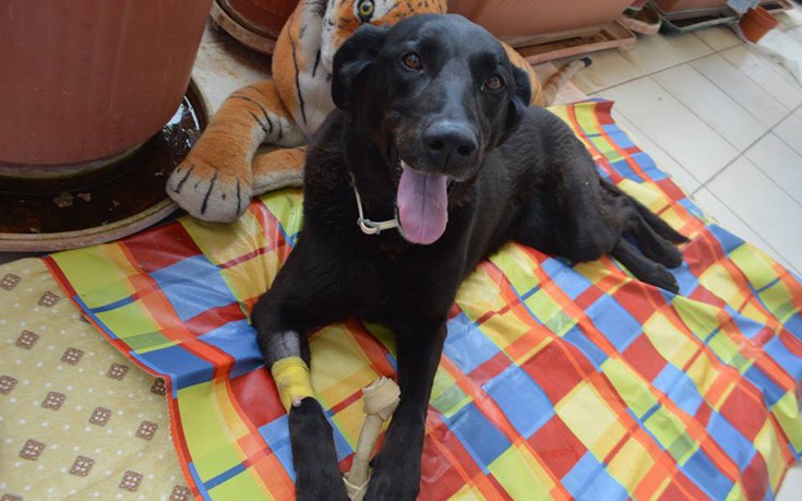 17800303_1440063372713304_7747490466212452368_n 17800303_1440063372713304_7747490466212452368_n