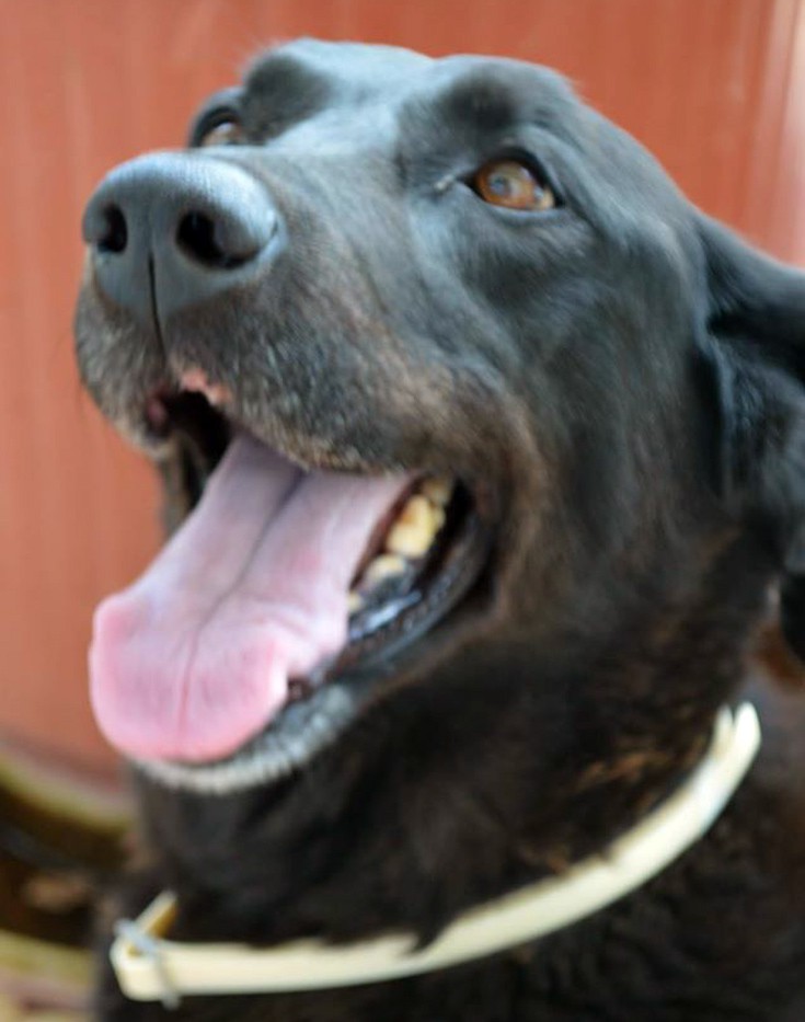 17834743_1440063232713318_5716544368019048006_o 17834743_1440063232713318_5716544368019048006_o