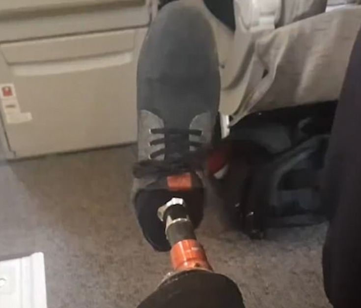 40A8FFA700000578-0-image-m-14_1495451514093 40A8FFA700000578-0-image-m-14_1495451514093