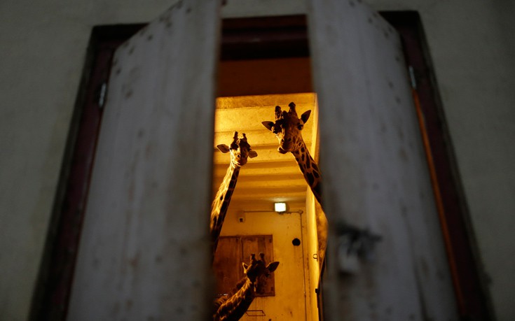 AP_17143679069803 AP_17143679069803