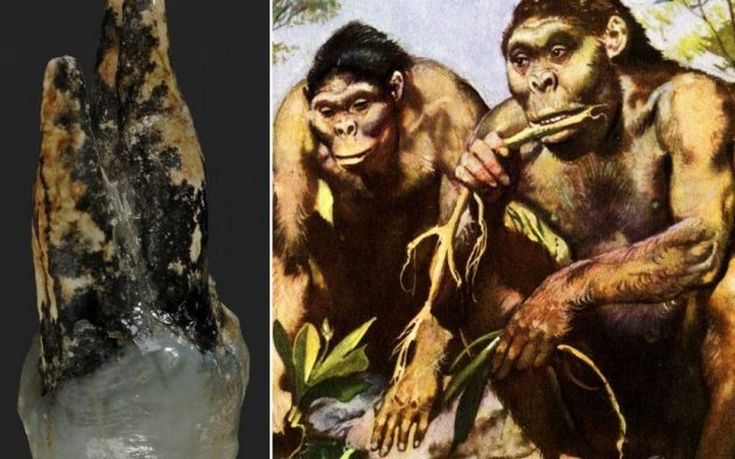 «Ο πρώτος άνθρωπος μπορεί να είχε εμφανιστεί στα Βαλκάνια, ίσως στην Ελλάδα»