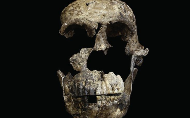 Ο σκελετός ενός ακόμα συγγενή του ανθρώπου ανακαλύφθηκε στη Ν. Αφρική