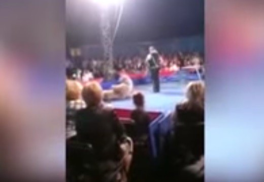 Αρκούδα σε τσίρκο φεύγει από τη σκηνή και πέφτει πάνω στο κοινό