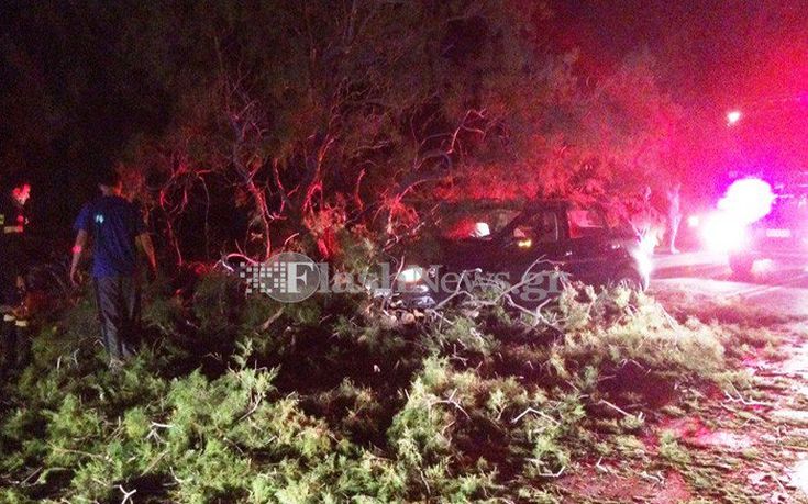 dentro-aftokinito-platrani-soudas-01 dentro-aftokinito-platrani-soudas-01