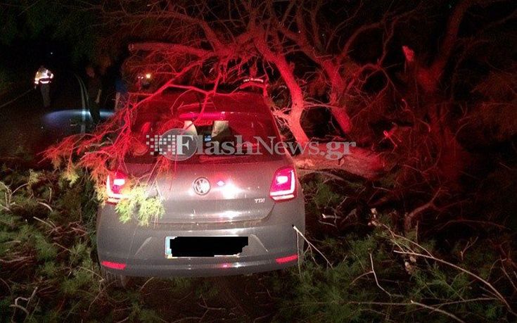 dentro-aftokinito-platrani-soudas-04 dentro-aftokinito-platrani-soudas-04