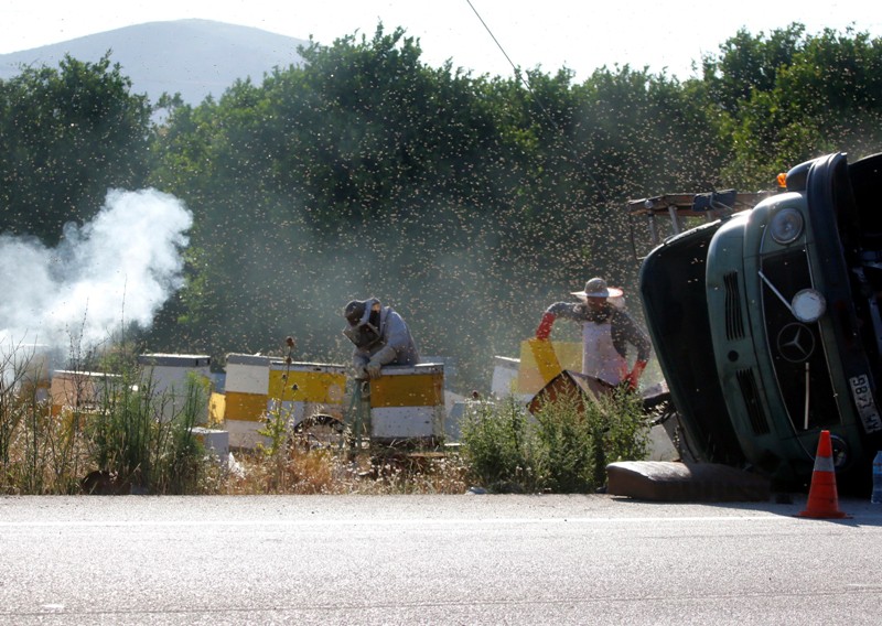 melisses10 melisses10