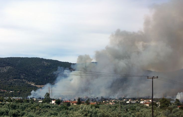 Πυρκαγιά σε δασική έκταση στους Αγίους Θεοδώρους Κορινθίας